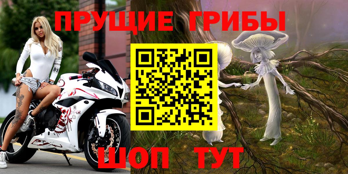 Екатеринбург  как найти закладки  Вход с VPN  Псилоцибиновые грибы Psilocybine cubensis 